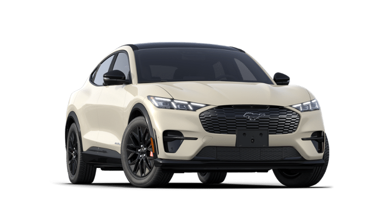 Mustang Mach-E® vehicle